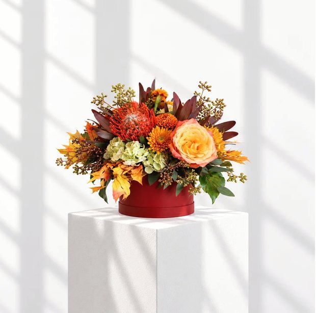 Bordeauxrote Flowerbox mit Protea, Rosen, Chrysanthemen und Herbstlaub in Orange
