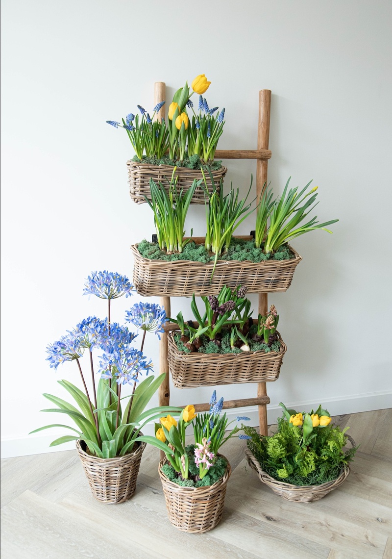 Rattankörbe mit Frühlingsblumen auf einer Leiter